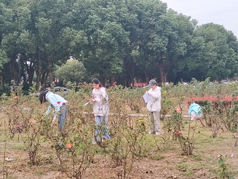 【乐己·常工业】数字商务学院开...